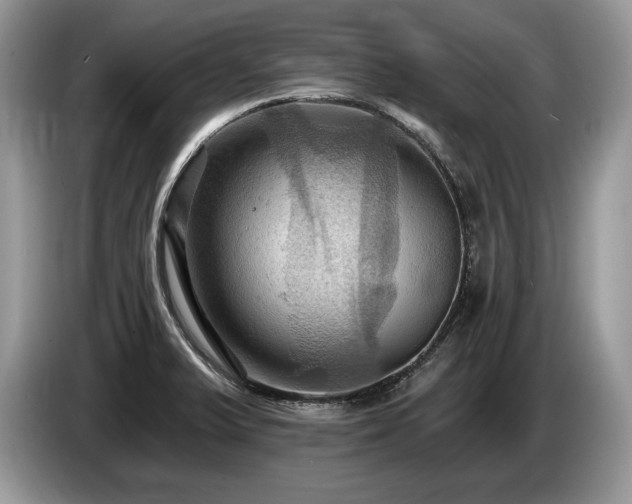 X0000087551375200704271201