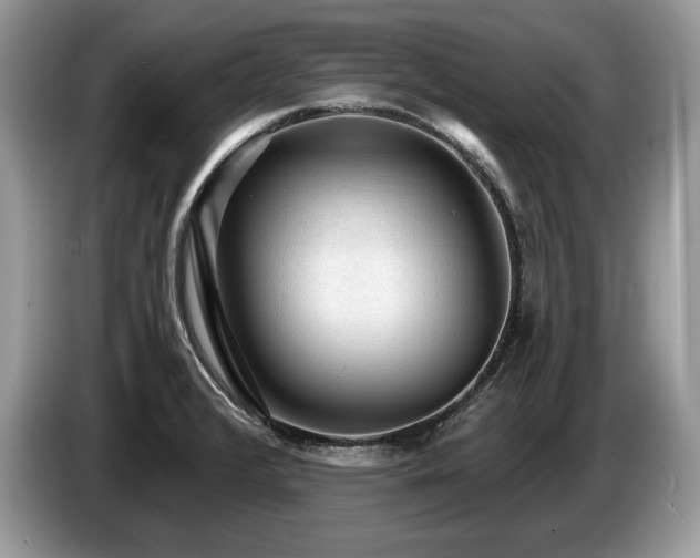 X0000087551376200704271201