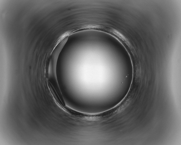X0000087551377200704271201