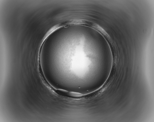 X0000087551378200704271201