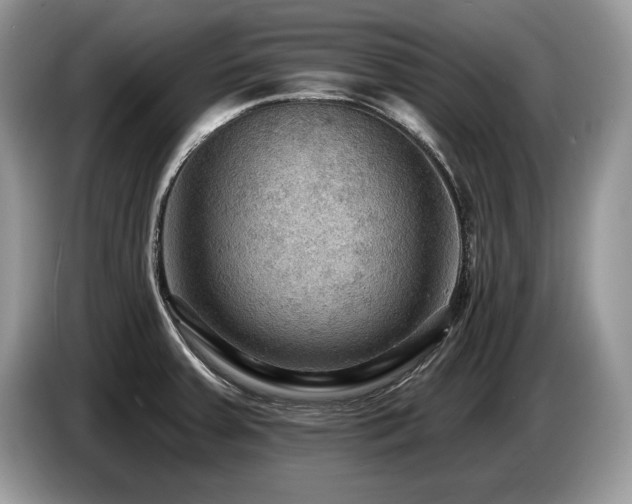 X0000087551379200704271201