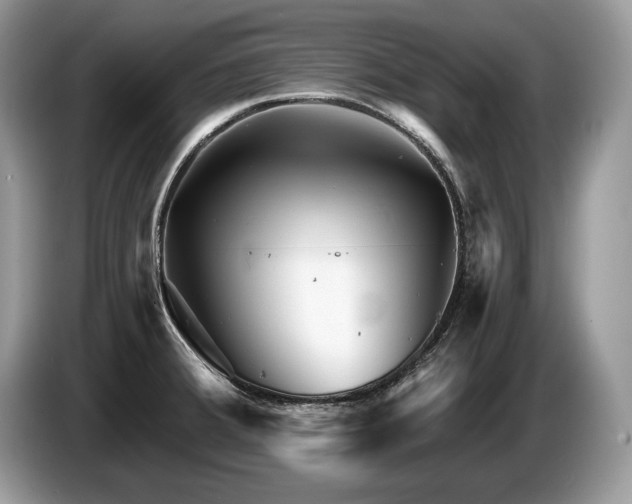 X0000087551380200704271201
