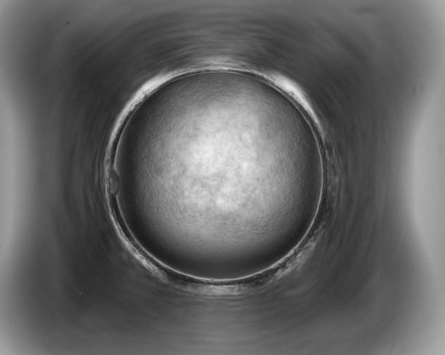 X0000087551381200704271201