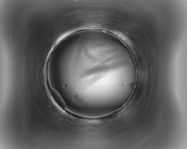 X0000087551382200704271201