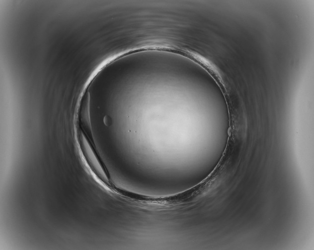 X0000087551383200704271201