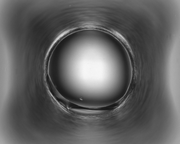X0000087551384200704271200