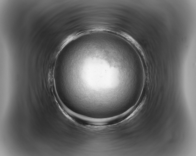X0000087551385200704271200