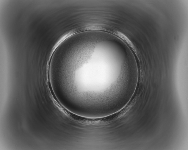 X0000087551386200704271200