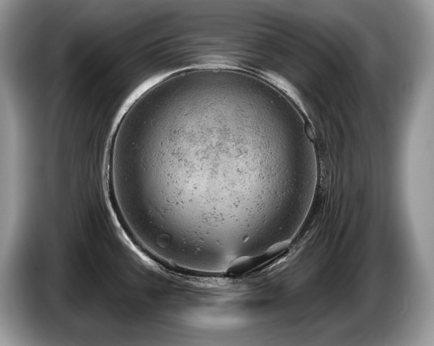 X0000087551387200704271200