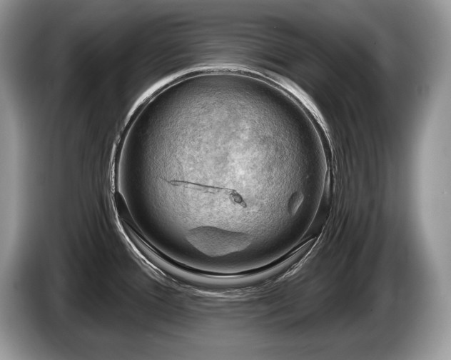 X0000087551388200704271200
