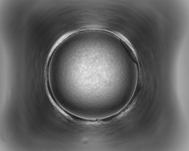 X0000087551389200704271200