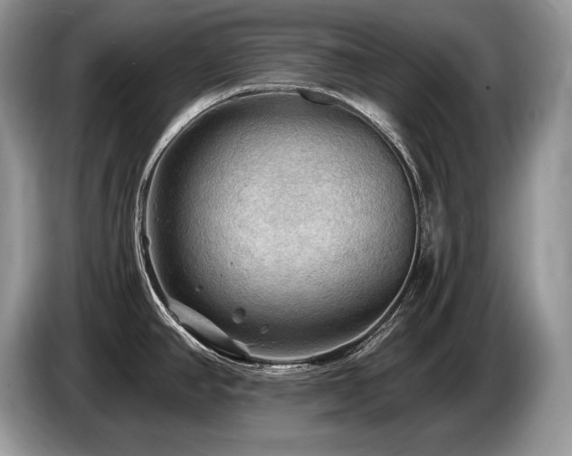 X0000087551390200704271200