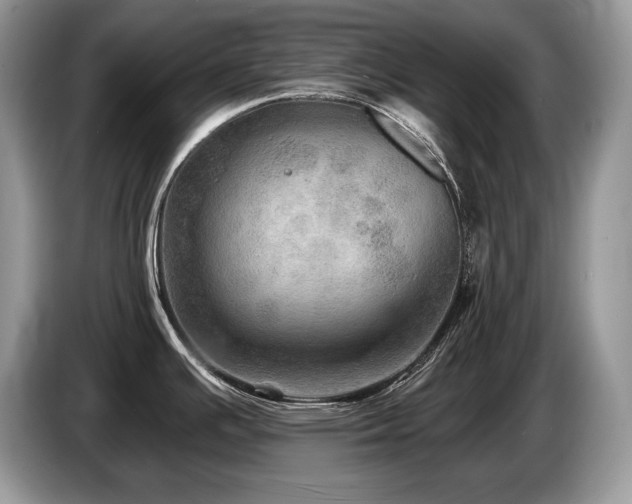 X0000087551391200704271200
