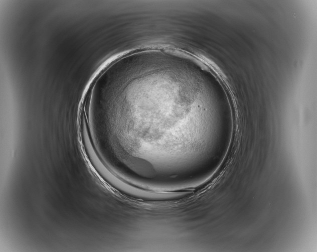 X0000087551392200704271200