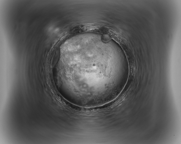 X0000087551393200704271200
