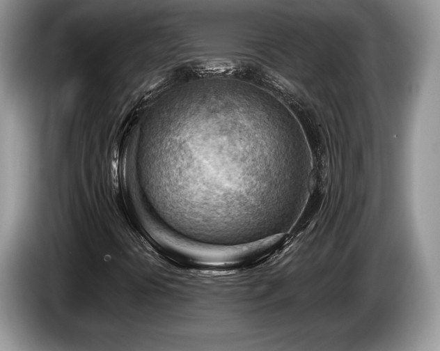 X0000087551394200704271200