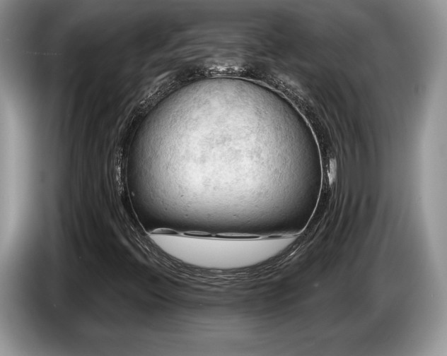 X0000087551396200704271200