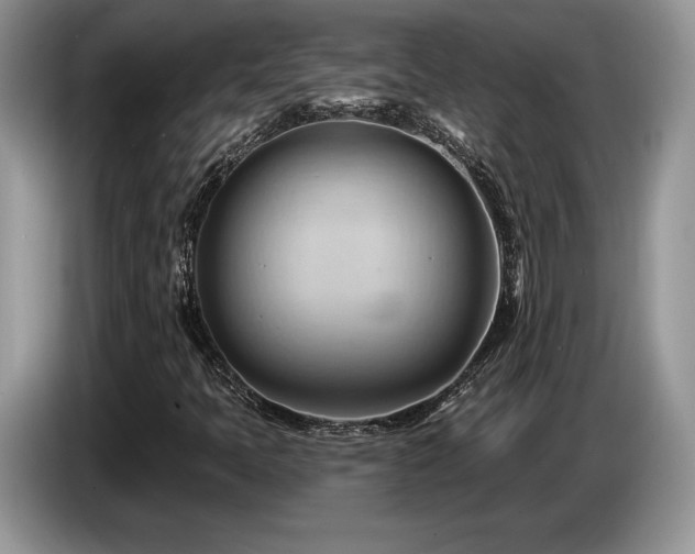 X0000087551397200704271200