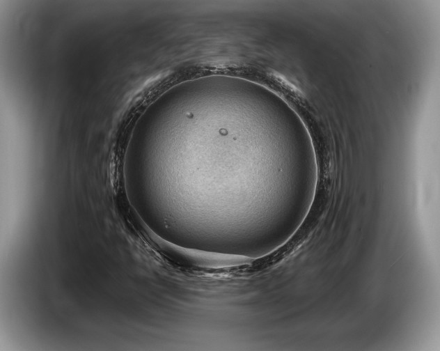 X0000087551398200704271200