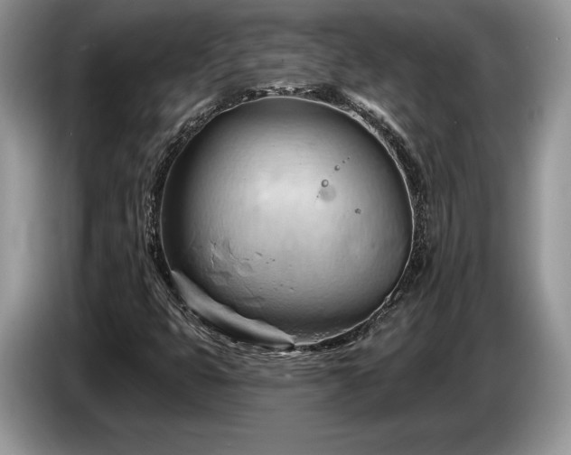 X0000087551399200704271200