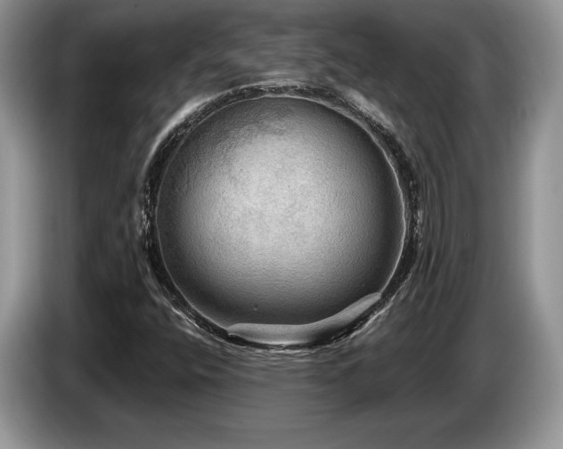 X0000087551400200704271200