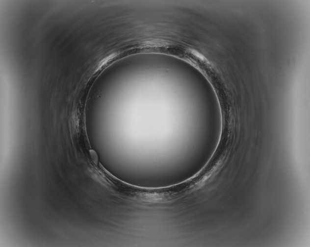 X0000087551401200704271200