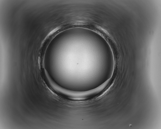 X0000087551402200704271200