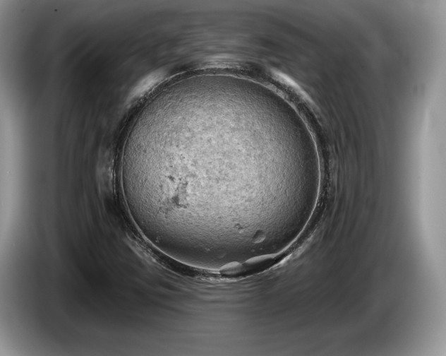 X0000087551403200704271200