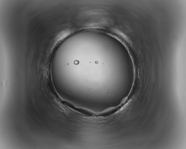 X0000087551405200704271200
