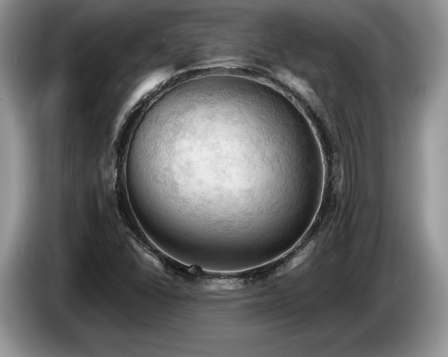 X0000087551406200704271200