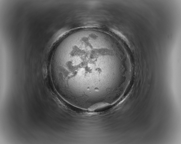X0000087551407200704271200