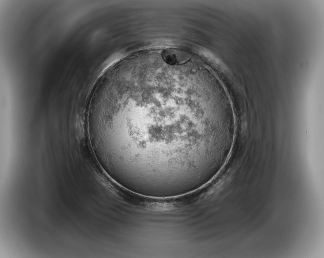 X0000087551409200704271200