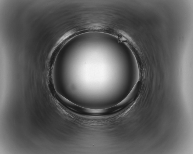 X0000087551410200704271200