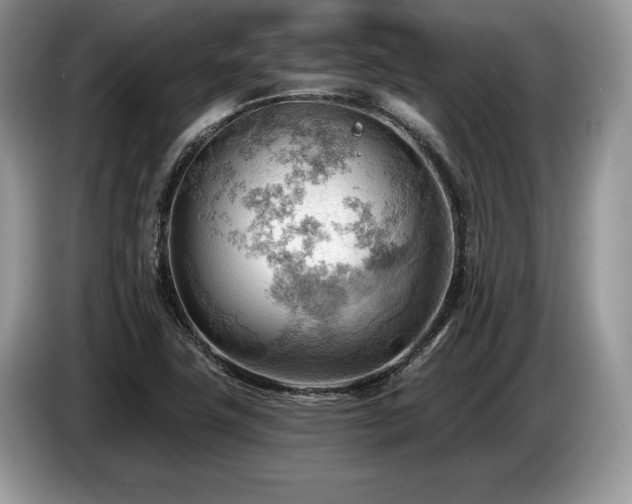 X0000087551411200704271200