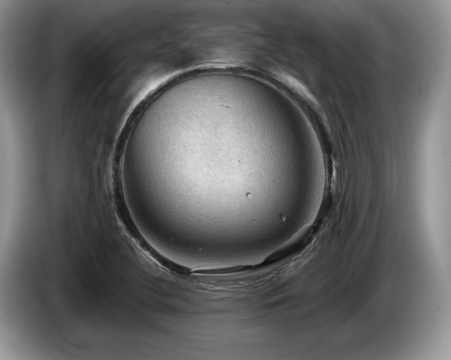 X0000087551412200704271200