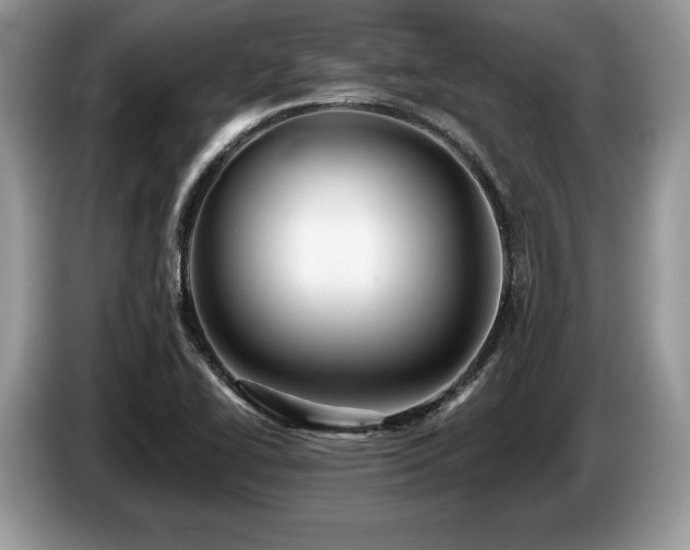 X0000087551414200704271200