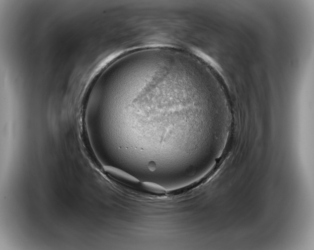 X0000087551415200704271200