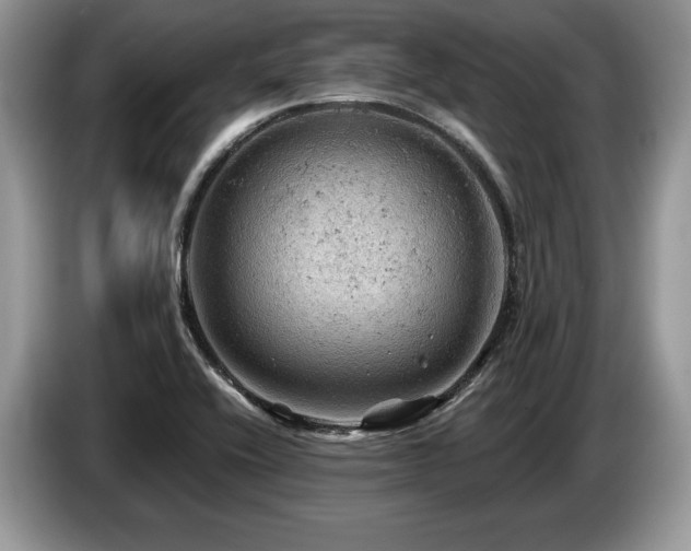 X0000087551416200704271200