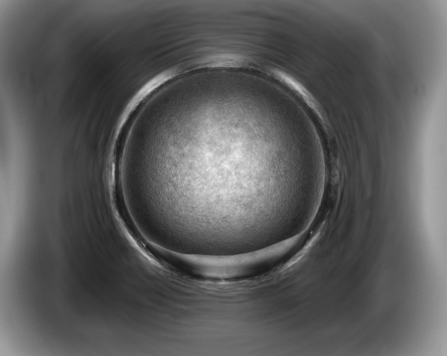X0000087551418200704271200