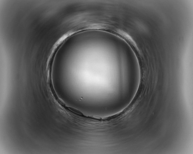 X0000087551419200704271200