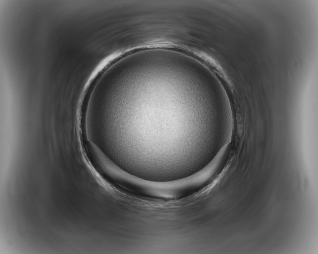 X0000087551422200704271200