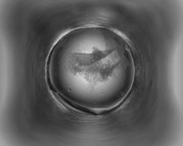 X0000087551423200704271200