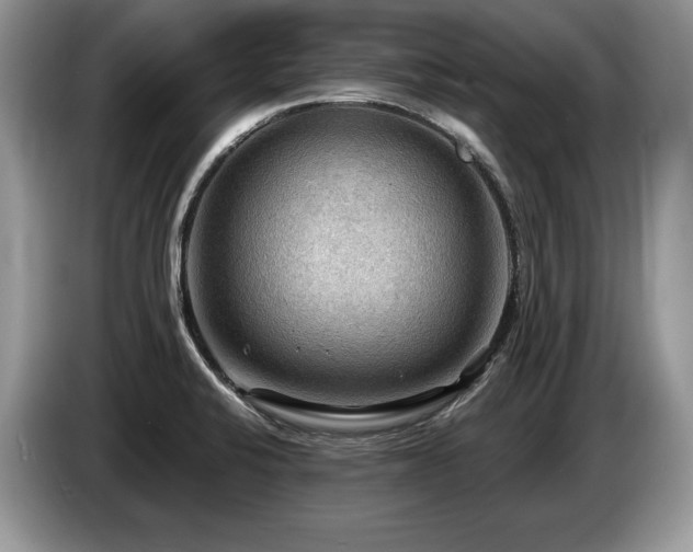X0000087551424200704271200