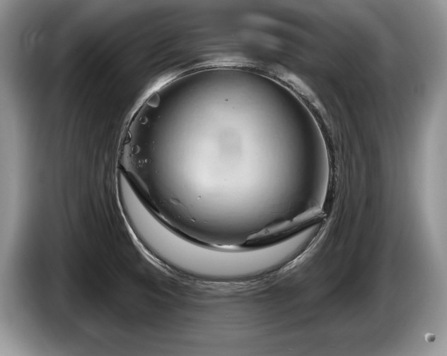 X0000087551425200704271200