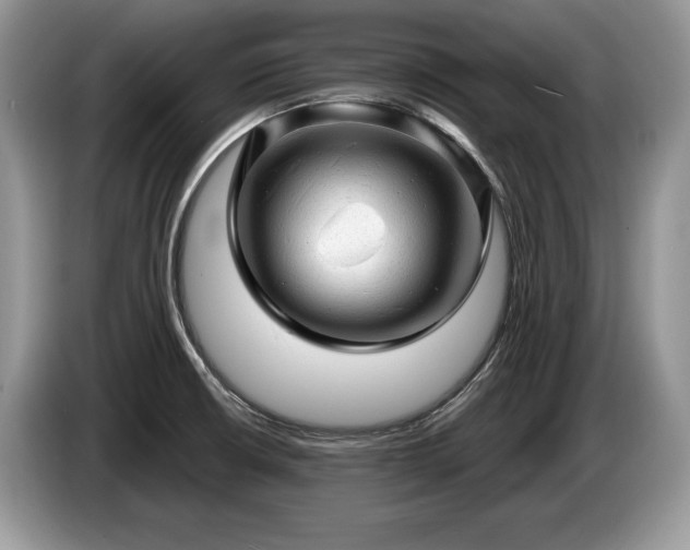 X0000087551426200704271200