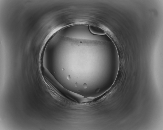 X0000087551427200704271200