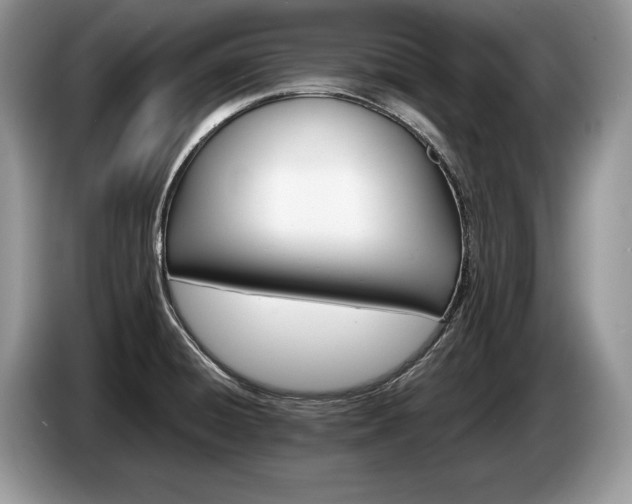 X0000087551428200704271200