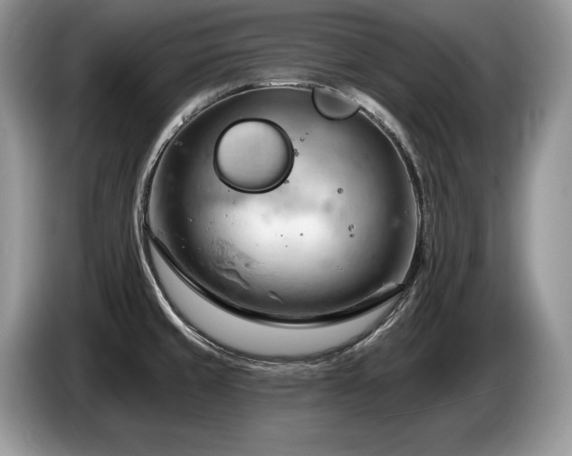 X0000087551429200704271200