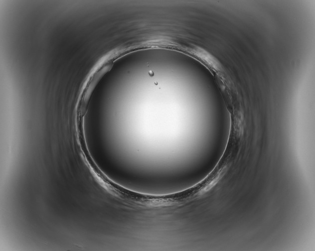X0000087551430200704271200