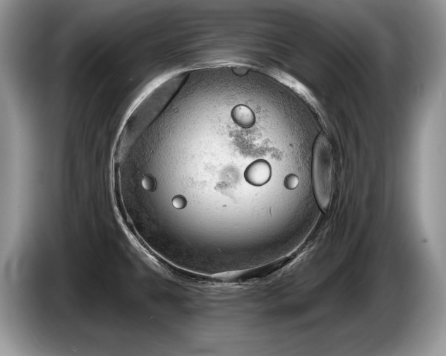X0000087551431200704271200
